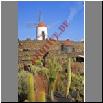 2008-12-22-07186-00_Lanzarote_JardinDeCactus.html