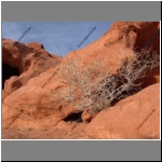 2005-12-29-06497-01_USA_Nevada_ValleyOfFire.html